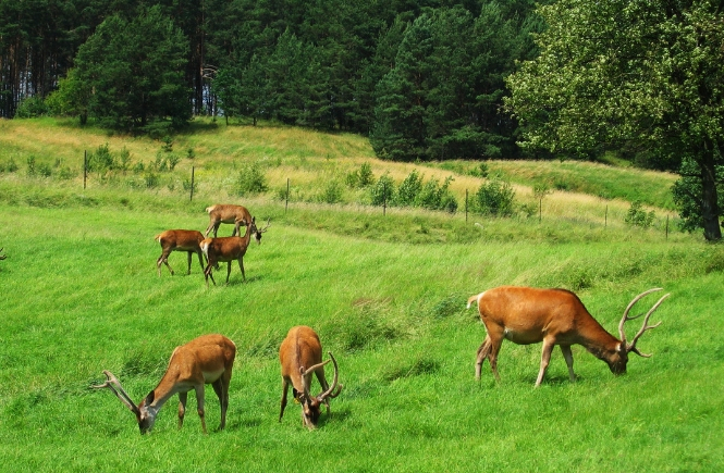 mragowo tourist information